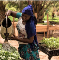 Convegno "Agroecologia, avanti tutta! Le filiere del cibo giusto e sostenibile nelle esperienze di Loumbilà in Burkina Faso e Padova"