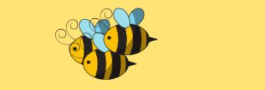 Progetto "Padova città delle api" 380 ant