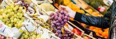 mercato mercati a padova agroalimentare alimentare frutta verdura vendita 380 ant