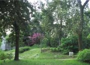 Visite guidate al parco Treves