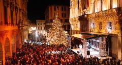 Galleria accensione del grande albero di Natale a Padova 2023 240 ant
